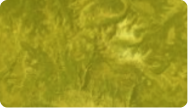 Avalanche Danger Moderate.png