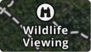 Wildlife Viewing Area Backcountry.png